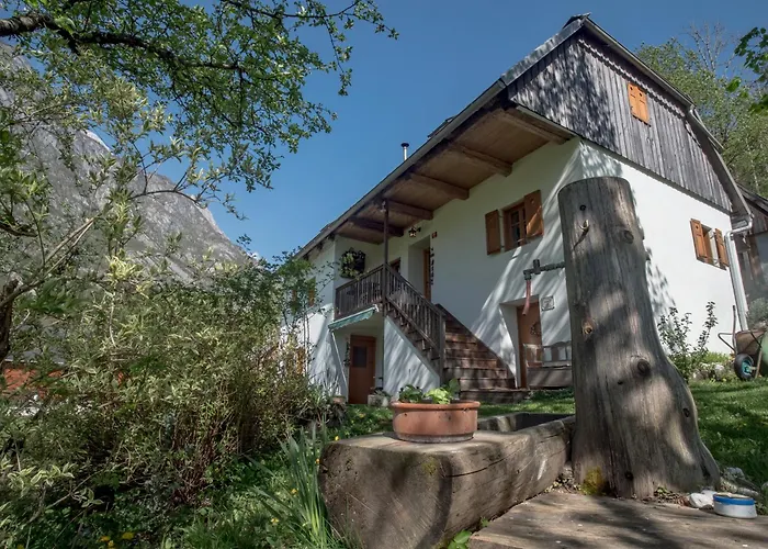 Rustic Apartment Petra