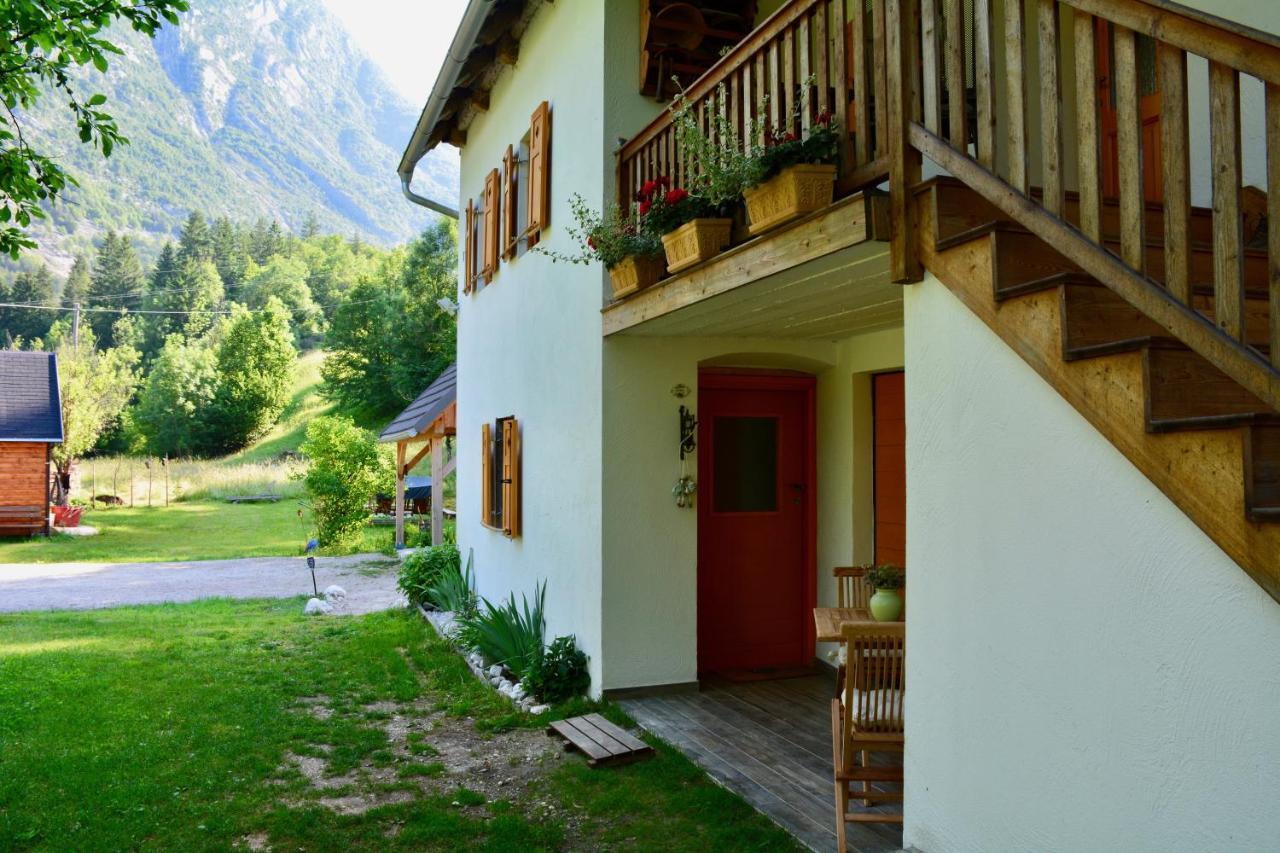 Rustic Petra * Soca