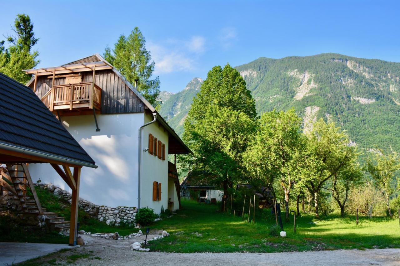 Rustic Petra Apartment *